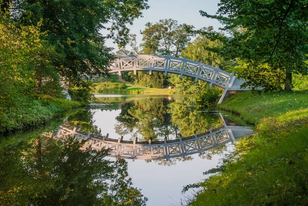 Suda yansıması olan beyaz yaya köprüsü, Unesco Park Dessau-Worlitz, Almanya