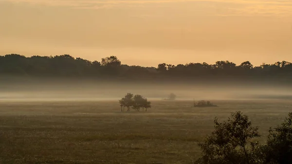 Vista Manhã Dos Terrenos Agrícolas Torno Unesco Park Dessau Worlitz — Fotografia de Stock