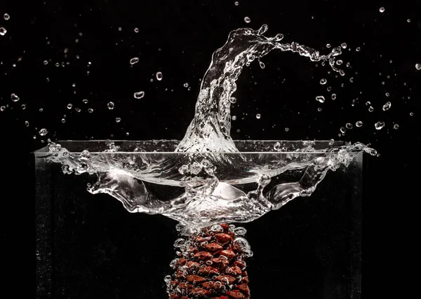 Su Sıçratma Fotoğrafı: Suya düşen bir kozalak konisi siyah arkaplanda büyük bir sıçrama yaratıyor