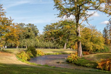 Hollanda, Twickel 'deki bir bahçe bahçesinin yılan göletine bakın.