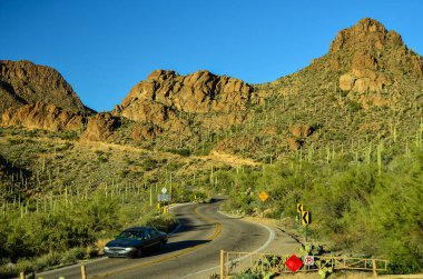 Tucson, Arizona yakınlarındaki Kuzey Sonora çölü manzaralı ve şaşırtıcı. Değişik peyzaj özellikleriyle tanınıyor, çok çeşitli çalılar ve bitki örtüsü ve tabii ki dev Saguarro Kaktüsü. Ayrıca şaşırtıcı oranda vahşi yaşam. Yürüyüşçüler cenneti.