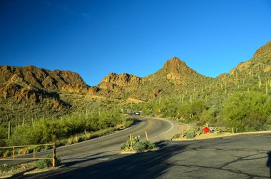 Tucson, Arizona yakınlarındaki Kuzey Sonora çölü manzaralı ve şaşırtıcı. Değişik peyzaj özellikleriyle tanınıyor, çok çeşitli çalılar ve bitki örtüsü ve tabii ki dev Saguarro Kaktüsü. Ayrıca şaşırtıcı oranda vahşi yaşam. Yürüyüşçüler cenneti.