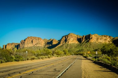 Phoenix, Arizona yakınlarındaki Sonoran Çölü 'nde Güneybatı Sahneleri 