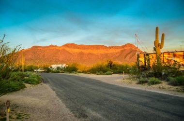 Phoenix, Arizona yakınlarındaki Sonoran Çölü 'nde Güneybatı Sahneleri 
