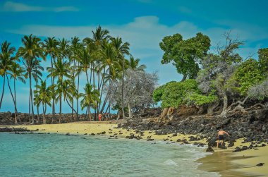 Büyük Hawaii Adası 'nda çarpıcı plajlar ve engebeli kıyı şeridi..