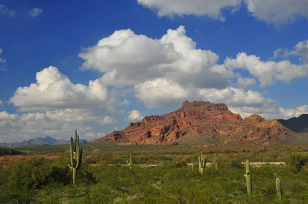 Dech Beroucí Red Mountain Střední Arizoně Poblíž Phoenixu Velmi Neobvyklá — Stock fotografie