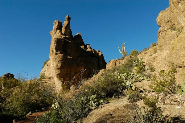 Poušť Střední Arizoně — Stock fotografie