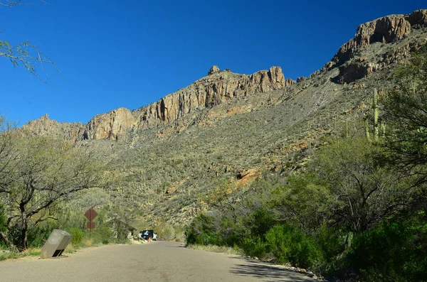 Desierto Del Centro Arizona — Foto de Stock