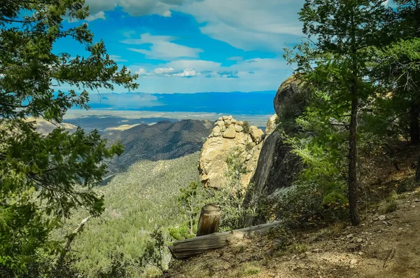 Una Excursión Día Monte Lemmon Arizona Muy Cerca Tucson —  Fotos de Stock