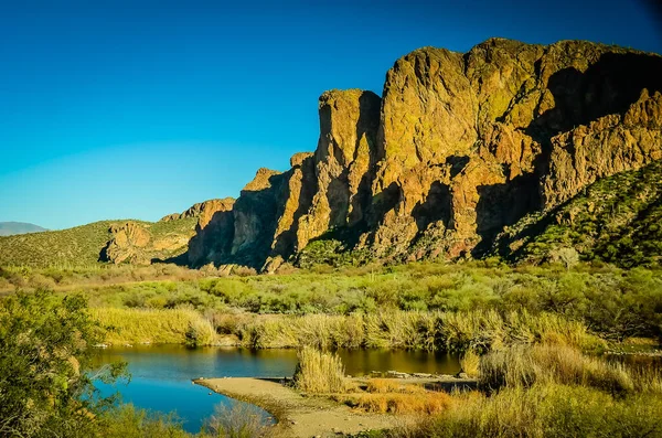 Escenas Del Suroeste Desierto Sonora Cerca Phoenix Arizona — Foto de Stock