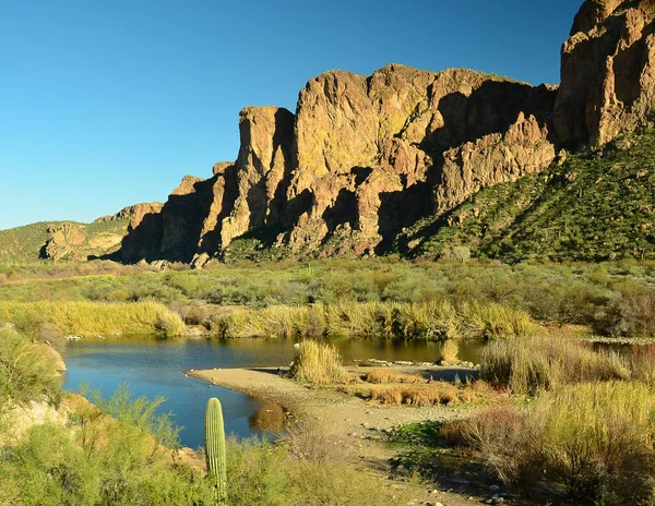 Escenas Del Suroeste Desierto Sonora Cerca Phoenix Arizona — Foto de Stock