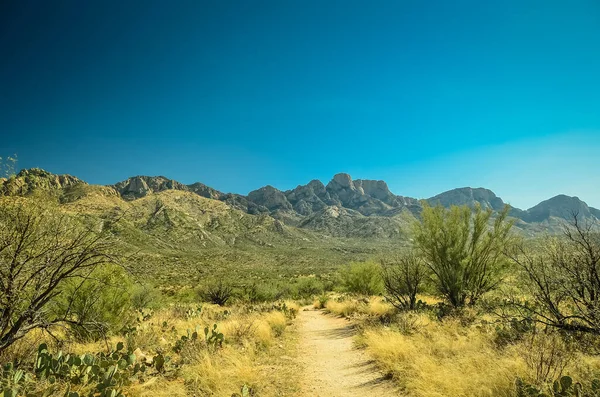 Pittoresco Sorprendente Deserto Northern Sonoran Vicino Tucson Arizona Conosciuto Sue — Foto Stock