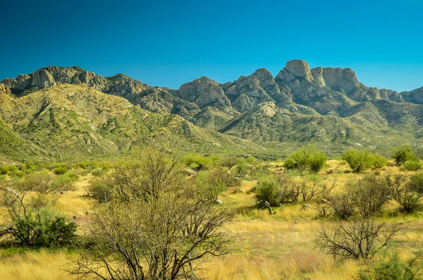 Pittoresco Sorprendente Deserto Northern Sonoran Vicino Tucson Arizona Conosciuto Sue — Foto Stock