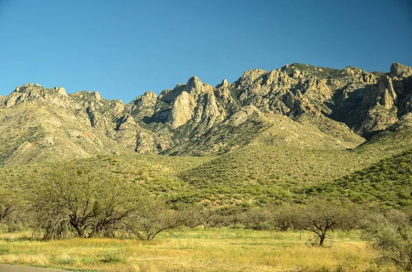 Malebná Překvapivá Severní Sonorská Poušť Poblíž Tucsonu Arizoně Známé Pro — Stock fotografie