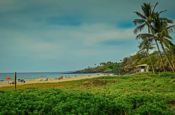 Superbes Plages Rivage Accidenté Sur Grande Île Hawaï — Photo