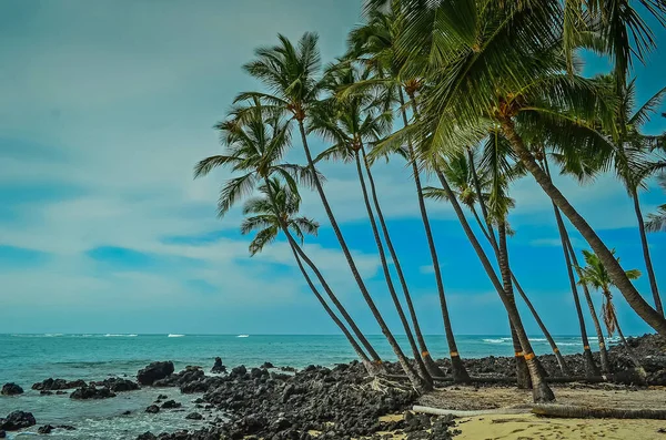 Atemberaubende Strände Und Zerklüftete Küsten Auf Der Big Island Von — Stockfoto