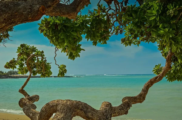 Atemberaubende Strände Und Zerklüftete Küsten Auf Der Big Island Von — Stockfoto