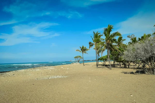 Impresionantes Playas Costa Escarpada Isla Grande Hawaii —  Fotos de Stock