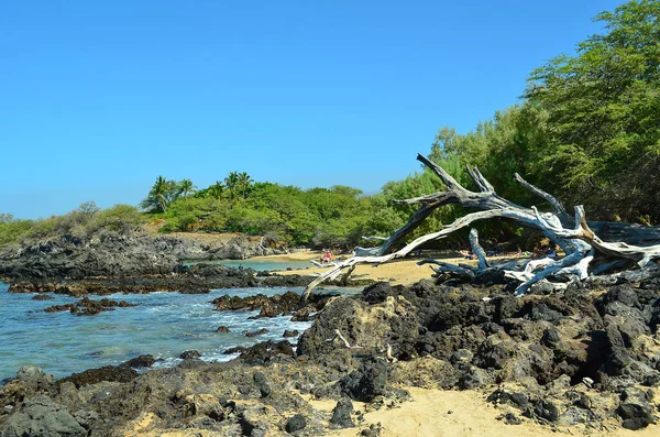 Потрясающие Пляжи Прочный Берег Большом Острове Гавайев — стоковое фото