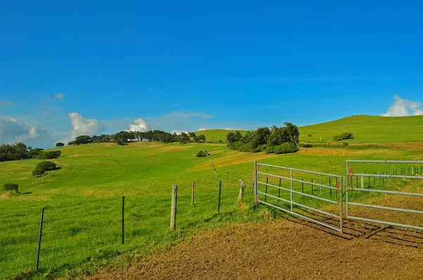 Malerische Rinder Ranch Auf Hawaii Big Island — Stockfoto