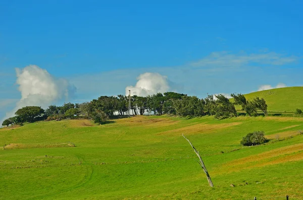 Malerische Rinder Ranch Auf Hawaii Big Island — Stockfoto