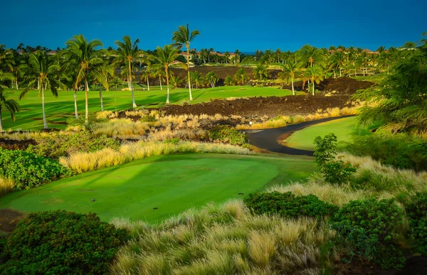 Waikoloa Village Pole Golfowe Wielkiej Wyspie Hawajów — Zdjęcie stockowe