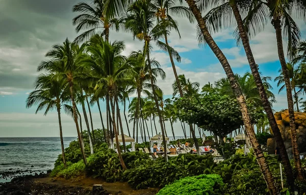 Waikoloa Village Ilha Grande Havaí — Fotografia de Stock