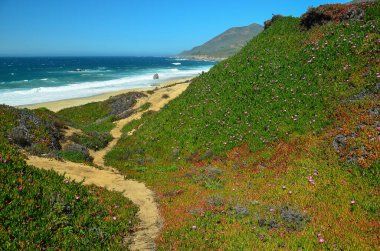 Kaliforniya Sahili 'nde Dünyaca ünlü Big Sur