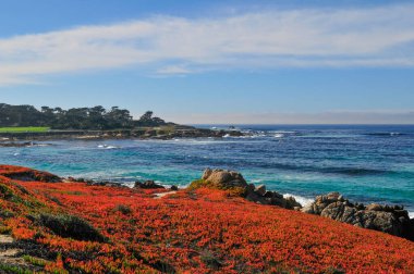 The beautiful 17 Mile Drive on the Monterey Peninsula of California's stunning Central Coast. Features rugged coastline, sandy beaches, cypress trees, and clear, azure water. clipart