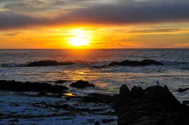 Kaliforniya 'nın çarpıcı Central Coast' unun Monterey Yarımadası 'ndaki 17 Mil. Engebeli kıyı şeridi, kumlu plajlar, selvi ağaçları ve berrak, masmavi su..