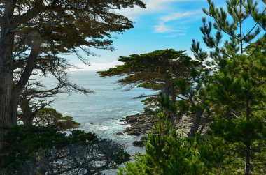 Kaliforniya 'nın çarpıcı Central Coast' unun Monterey Yarımadası 'ndaki 17 Mil. Engebeli kıyı şeridi, kumlu plajlar, selvi ağaçları ve berrak, masmavi su..