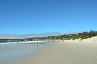 Carmel, California 'da çarpıcı beyaz kumsal. Monterey ve Big Sur arasında, Kaliforniya 'nın göbeğinde ünlü bir yer.