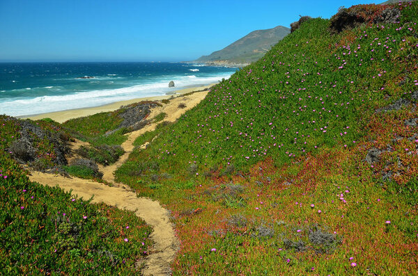 World famous Big Sur on California 's Scenic Central Coast
