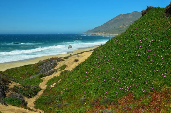 Mundialmente Famoso Big Sur Costa Central Escénica California — Foto de Stock