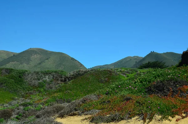 世界的に有名なカリフォルニアの風景中央海岸のビッグサー — ストック写真