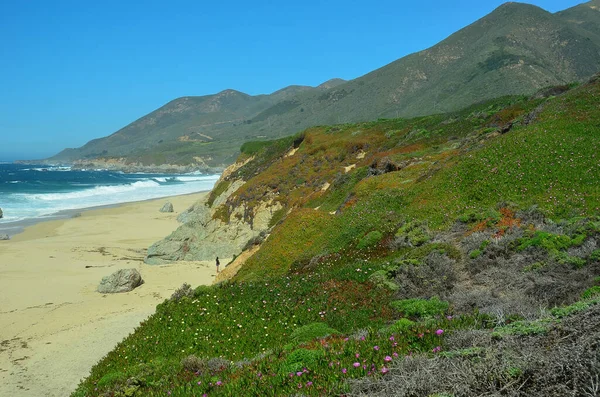 世界的に有名なカリフォルニアの風景中央海岸のビッグサー — ストック写真