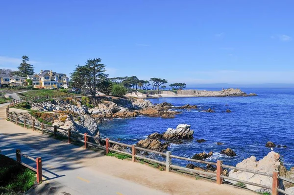 Enjoying Beauty Monterey California — Stock Photo, Image