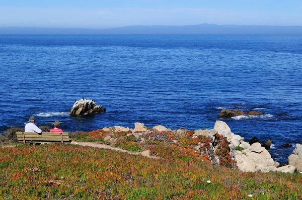 Njuter Skönheten Monterey Kalifornien — Stockfoto