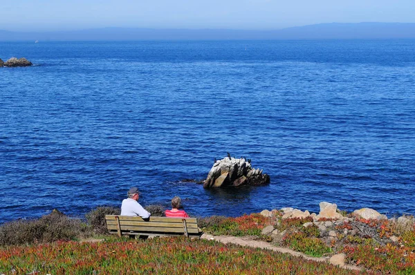 Njuter Skönheten Monterey Kalifornien — Stockfoto