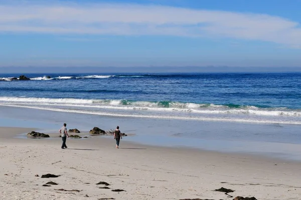 Beautiful Mile Drive Monterey Peninsula California Stunning Central Coast Features — Stock Photo, Image