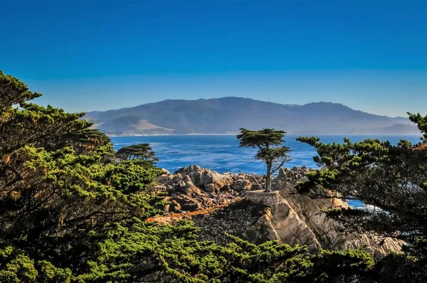 カリフォルニア州の美しいセントラルコーストのモントレー半島にある美しい17マイルドライブ 頑丈な海岸線 ヒノキの木 およびクリア 紺碧の水を備えています — ストック写真