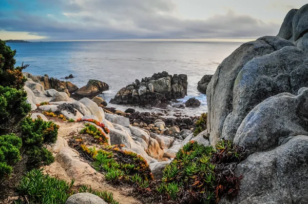 Hermoso Mile Drive Península Monterrey Impresionante Costa Central California Cuenta — Foto de Stock