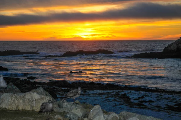 Der Wunderschöne Mile Drive Auf Der Halbinsel Monterey Der Atemberaubenden — Stockfoto