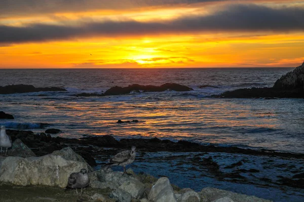 Piękny Mile Drive Półwyspie Monterey Kalifornii Oszałamiające Central Coast Charakterystyka — Zdjęcie stockowe