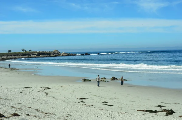 Beautiful Mile Drive Monterey Peninsula California Stunning Central Coast Features — Stock Photo, Image