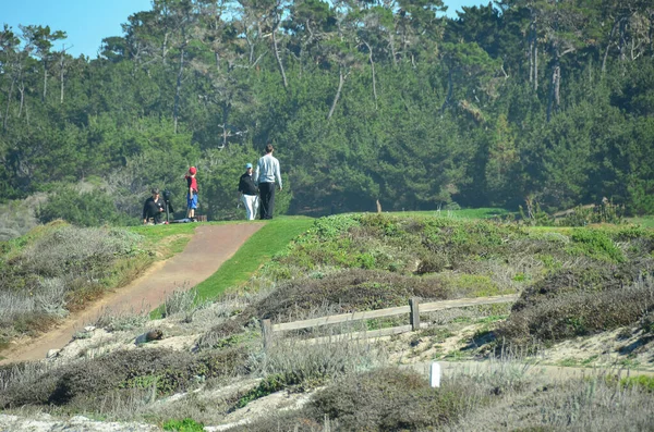 Famosi Campi Golf Che Fiancheggiano Mile Drive Della Penisola Monterey — Foto Stock