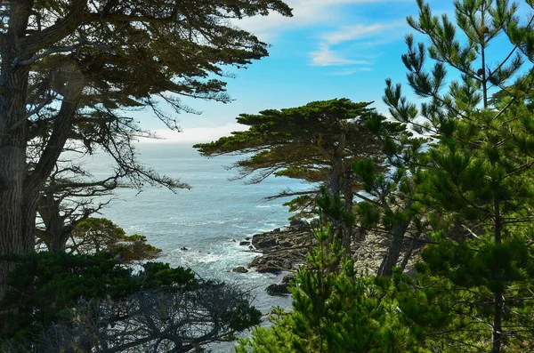 カリフォルニア州の美しいセントラルコーストのモントレー半島にある美しい17マイルドライブ 頑丈な海岸線 ヒノキの木 およびクリア 紺碧の水を備えています — ストック写真