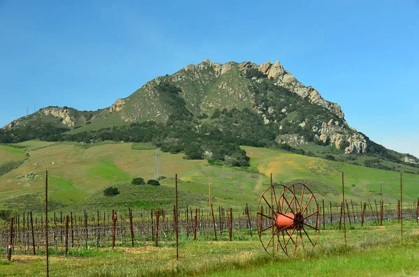 Morro Bay Califórnia Paisagem Rural Costa Central Poucos Quilômetros Norte — Fotografia de Stock