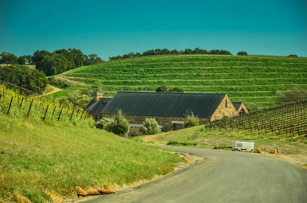 Pintoresca Bodega Viñedo Cerca Paso Robles Famosa Región Vinícola Costa —  Fotos de Stock