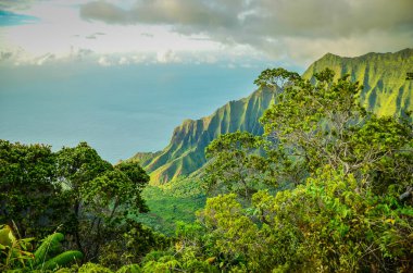 Hawaii Adaları 'ndaki Kauai' deki (Bahçe Adası) eşsiz ve nefes kesici Napali uçurumları.